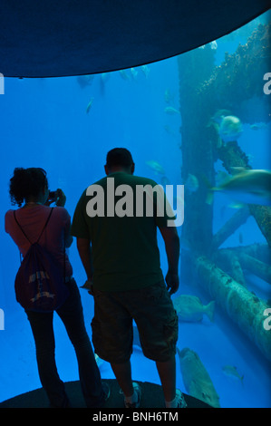 Texas, Corpus Christi. Les gens à l'aquarium de Corpus Christi. Banque D'Images