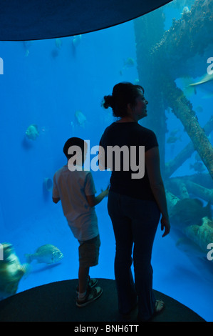 Texas, Corpus Christi. Les gens à l'aquarium de Corpus Christi. Banque D'Images