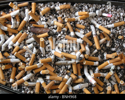 Mégots de cigare cigarette habitude de fumer des cigarettes cendrier de danger pour la santé Banque D'Images