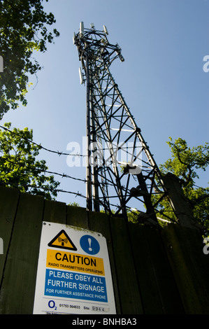 Téléphone mobile, mât en bois, Kent. Banque D'Images