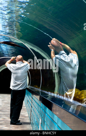 Tout droit le plus grand tunnel sous-marin en Europe. Le verre dans le tunnel est de 10cm d'épaisseur Banque D'Images