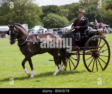 Arrivant dans la salle de conduite de la lumière de la concurrence, le Cranleigh Show 2009 Banque D'Images