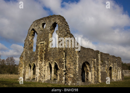 Ruines de l'abbaye de Waverley, Farnham, Surrey, UK Banque D'Images