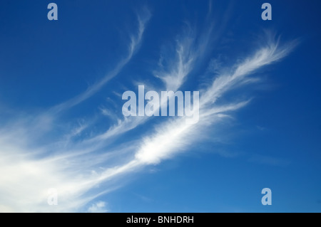 Des nuages blancs sur fond de ciel bleu Banque D'Images