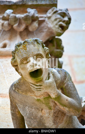 Europe, France, Vienne (86), Poitiers, Cathédrale de Saint-Pierre Banque D'Images