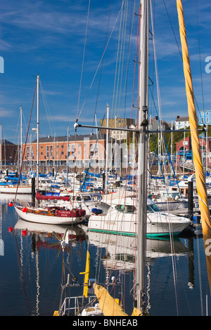 Milford Haven Pembrokeshire, Pays de Galles Banque D'Images