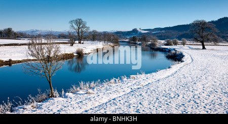 Près de la rivière Towy Dryslwyn Llandeilo Carmarthenshire Galles dans la neige Banque D'Images