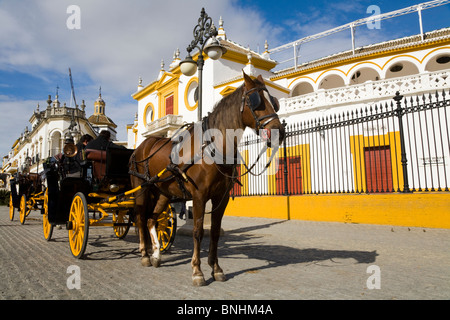 Cheval et chariot pour touristes devant les arènes de Séville / Bull ring / Plaza de Toros de la Maestranza. Séville, Espagne. Banque D'Images