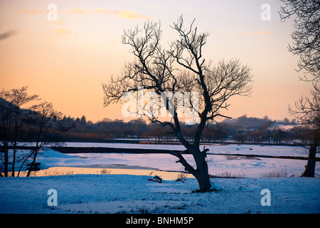 Près de la rivière Towy Dryslwyn Llandeilo Carmarthenshire Galles dans la neige Banque D'Images