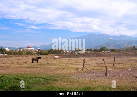 Champ avec des chevaux qui broutent dans Guayabitos, Nayarit, Mexique. Dans la distance, Guayabitos tour d'eau et les montagnes de la Sierra Madre Banque D'Images