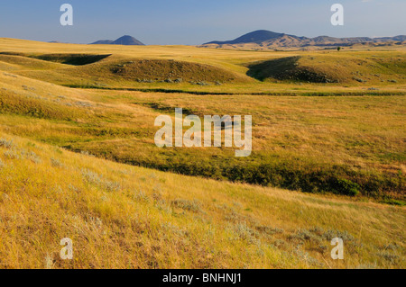 USA Bear Paw Battlefield Nez Perce National Historic Park près de Montana Chinook américains autochtones Premières nations autochtones d'Amérique Banque D'Images