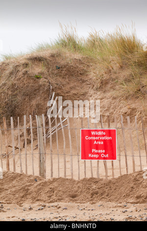 Un projet de restauration des dunes au point d'Ayr, sur la côte nord du Pays de Galles. Banque D'Images