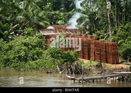 Canaux breves Brésil forêt amazonienne l'Amazonie Jungle rivière forêt tropical tropiques bois transformation du bois Industrie bois Banque D'Images