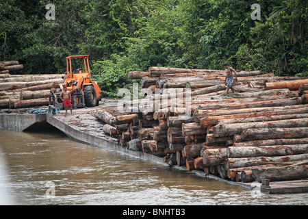 Canaux breves Brésil forêt amazonienne l'Amazonie Jungle rivière forêt tropical tropiques bois transformation du bois Industrie bois Banque D'Images