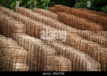 Canaux breves Brésil forêt amazonienne l'Amazonie Jungle rivière forêt tropical tropiques bois transformation du bois Industrie bois Banque D'Images