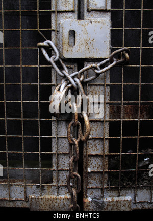 Cadenas rouillés sur metal gate Banque D'Images