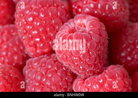Fresh Fruits framboise maravilla Banque D'Images