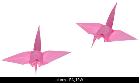 Origami rose les oiseaux. Banque D'Images