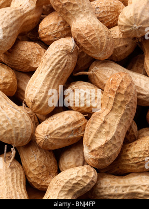Arachides Banque D'Images