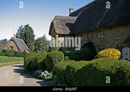 Cottages Chadlington Oxfordshire Banque D'Images