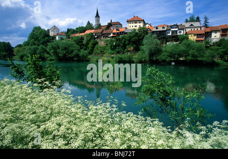 La Slovénie ville ville rivière Krka Novo Mesto prairie en fleurs Banque D'Images