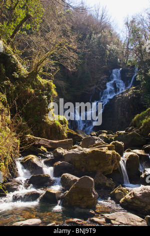 Torc Waterfall Anneau du Kerry Killarney Co. en soleil printanier Comté Munster République d'Irlande Eire Europe Banque D'Images