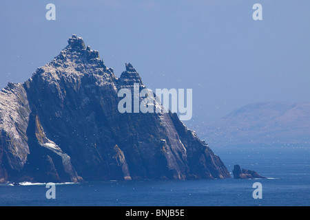 Bassan voler autour de Little Skellig Kerry Comté de soleil du printemps en République d'Irlande Eire Europe Banque D'Images