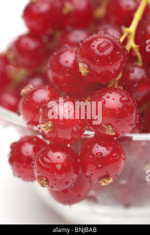 Groseille rouge dans un bol en verre, close-up shot Banque D'Images