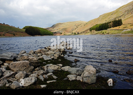 Haweswater et le Rigg de près de la tête dans le Mardale Parc National de Lake District, Cumbria. Banque D'Images