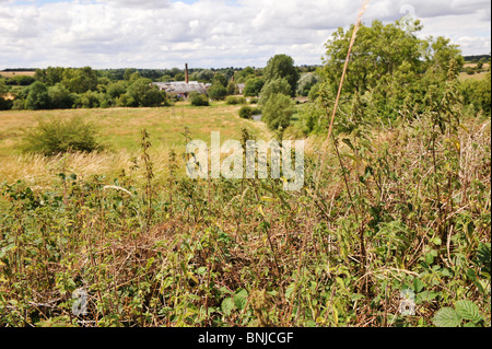 Vue vers Crawley Mill, près de Witney dans l'Oxfordshire. UK Banque D'Images