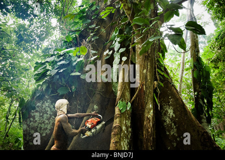 Un homme abat un grand arbre ceiba sur des terres agricoles près de Asamankese, est du Ghana, le mardi 6 mai 2008. Banque D'Images