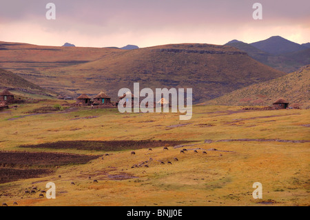 Chalets près de l'Afrique australe Lesotho Rhône-Alpes règlement maisons paysage montagnes moutons Banque D'Images