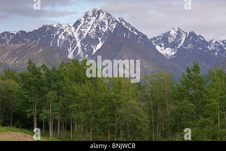 La vallée de la rivière Matanuska et forêt avec les montagnes Chugach en arrière-plan Banque D'Images