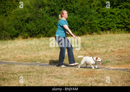 Femme avec Parson Russell Terrier au tour / Parson Jack Russell Terrier Banque D'Images