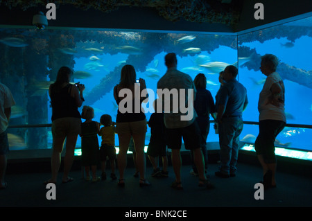 Texas, Corpus Christi. Les gens à l'aquarium de Corpus Christi. Banque D'Images