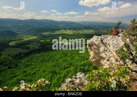 Randonneur enjoying view de l'Allemagne et la vallée de Spruce Knob North Fork Mountain Trail, Franklin, West Virginia, USA Banque D'Images