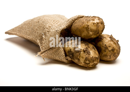 Sac de pommes de terre nouvelles à partir de la perspective peu isolés contre fond blanc. Banque D'Images