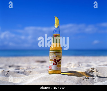 Bouteille de bière 'Sol' assis dans le sable, plage du nord, Isla Mujeres, Quintana Roo, Mexique Banque D'Images