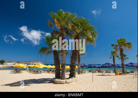 Malte Bay Armier beach palm beach palm Sable Sable mer plages plage de sable sable plage plages rivages vacances palmiers palm Banque D'Images