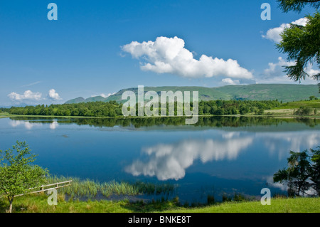 Ardinning le loch et les collines de Campsie Strathblane nr Stirling Ecosse District Banque D'Images