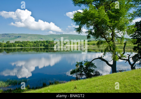 Ardinning le loch et les collines de Campsie Strathblane nr Stirling Ecosse District Banque D'Images