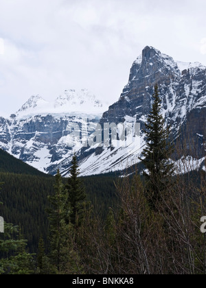 Le mont Temple nt 3543m dans le parc national de Banff Alberta Canada Banque D'Images