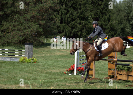 Cheval et cavalier jump clôture à Stuart Horse Trials 2010 en saut Banque D'Images