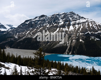 Le lac Peyto partiellement gelé nommé d'après le projet de loi vu de Peyto Sommet Bow Promenade des Glaciers du parc national Banff Canada Banque D'Images