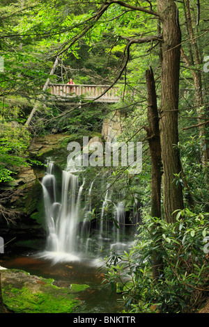 Un randonneur fait une pause sur le pont au-dessus de chutes Elakala dans le parc d'état de Blackwater, Davis, West Virginia, USA Banque D'Images