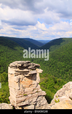 Vue du point de Lindy, donnent sur le parc d'état de Blackwater, Davis, West Virginia, USA Banque D'Images