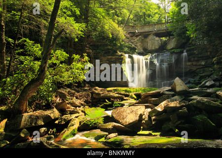 Elakala tombe dans le parc d'état de Blackwater, Davis, West Virginia, USA Banque D'Images