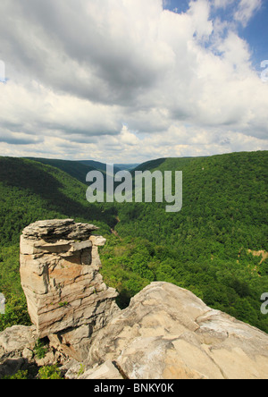 Vue du point de Lindy, donnent sur le parc d'état de Blackwater, Davis, West Virginia, USA Banque D'Images