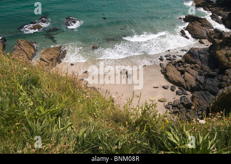 Regardant vers le bas sur la péninsule de Lizard Housel Bay Cornwall England UK Banque D'Images