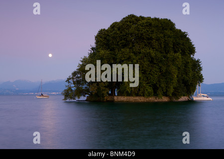 Rouleau de rôle Suisse canton Vaud lac de Genève island île tombée de la lune pleine lune arbres bateaux Banque D'Images